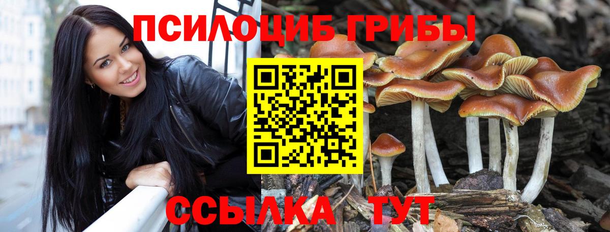 Галлюциногенные грибы ЛСД  Вход с VPN  Галлюциногенные грибы GOLDEN TEACHER  Прокопьевск 