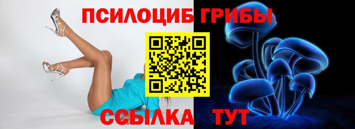 Псилоцибиновые грибы прущие грибы Прокопьевск